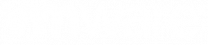 vmware-logo-png